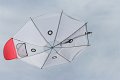 cerf-volant parasol IMG_0364