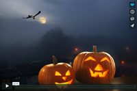 Crazy Horst - Halloween