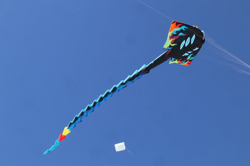 berck_13.jpg