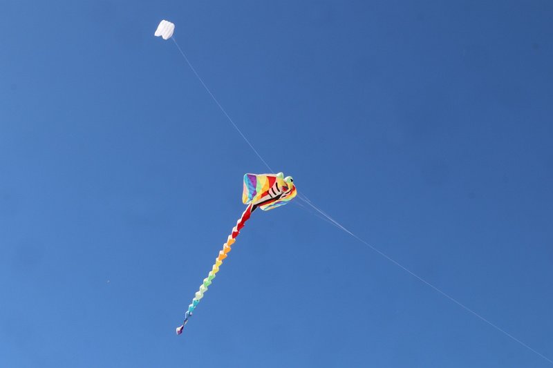 berck_14.jpg