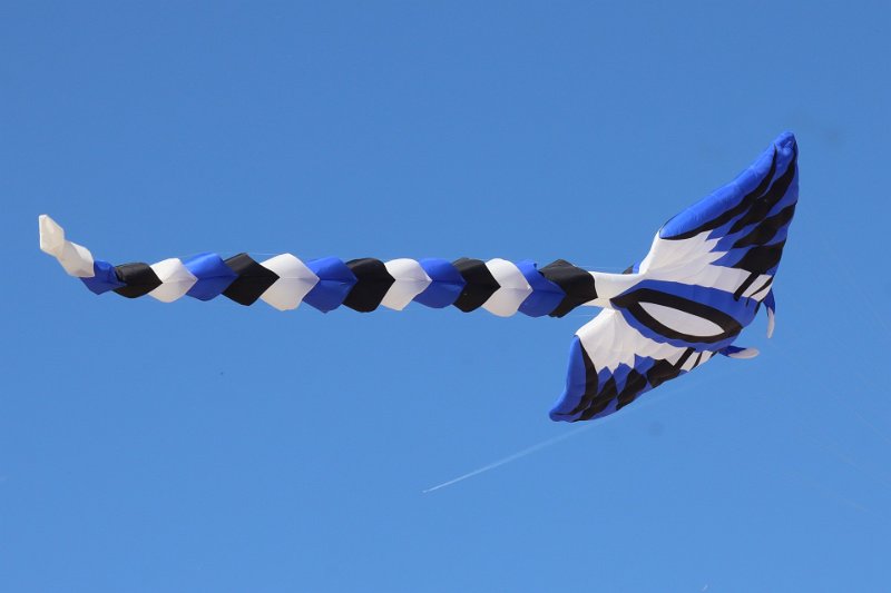 berck_17.jpg