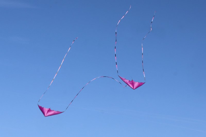 berck_21.jpg