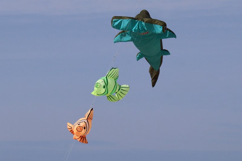 berck_26.jpg