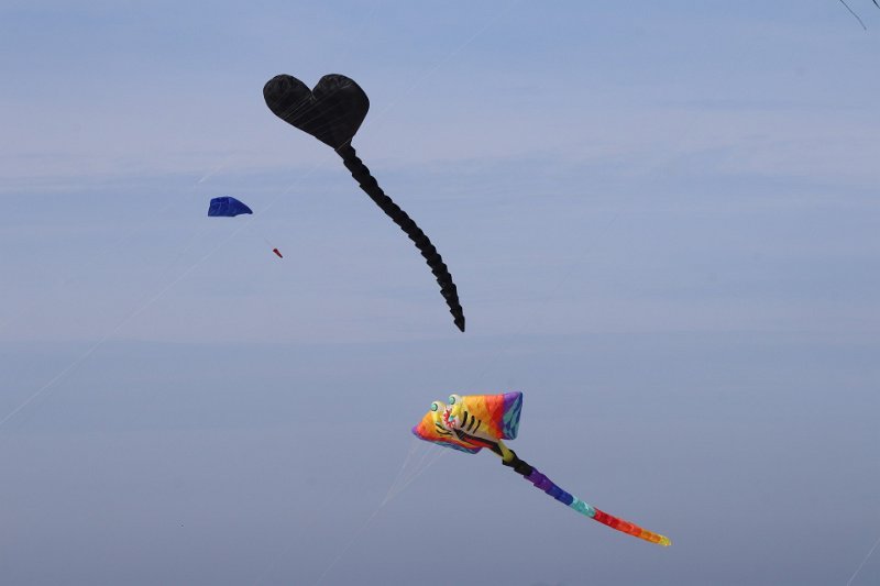 berck_31.jpg