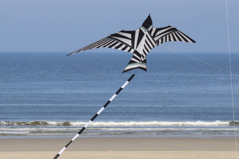 berck_36.jpg