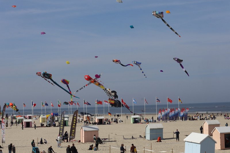 berck_39.jpg