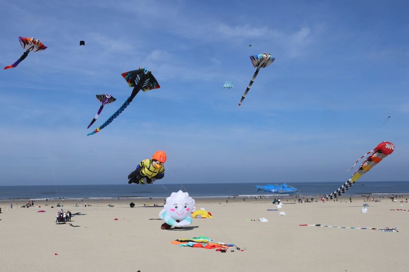 berck_51.jpg