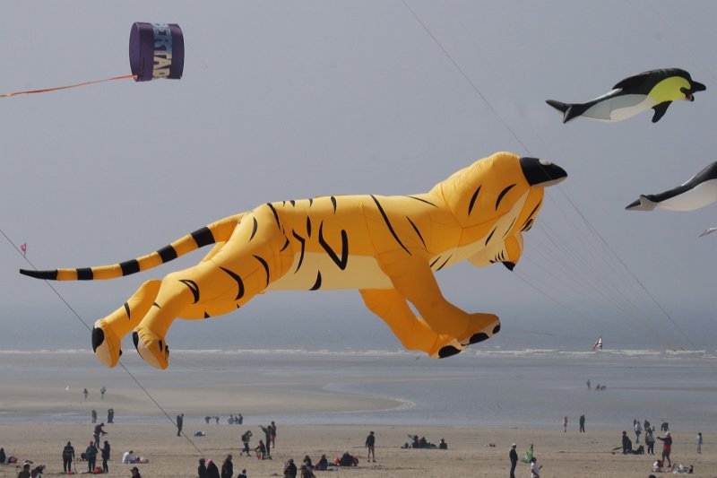 berck_60.jpg