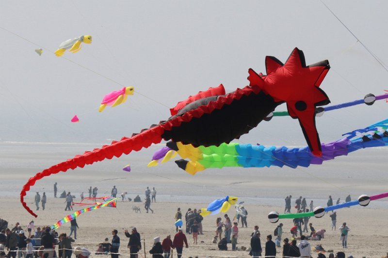 berck_61.jpg