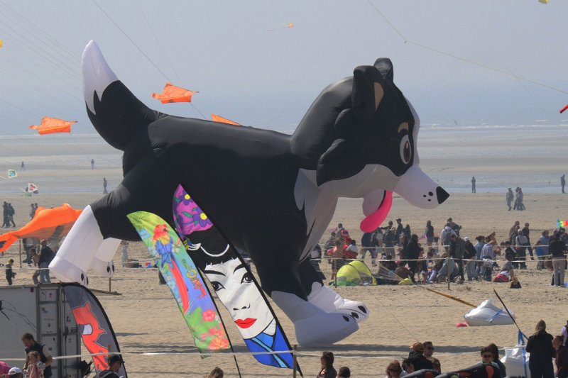 berck_62.jpg