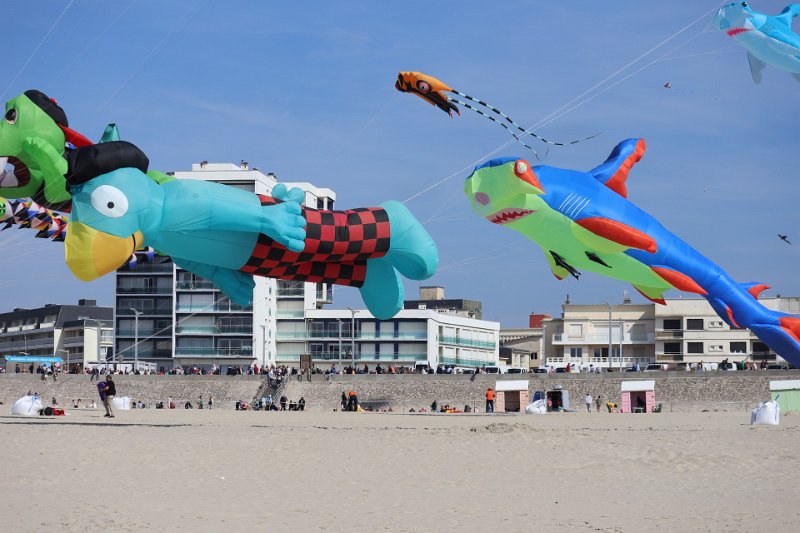 berck_73.jpg