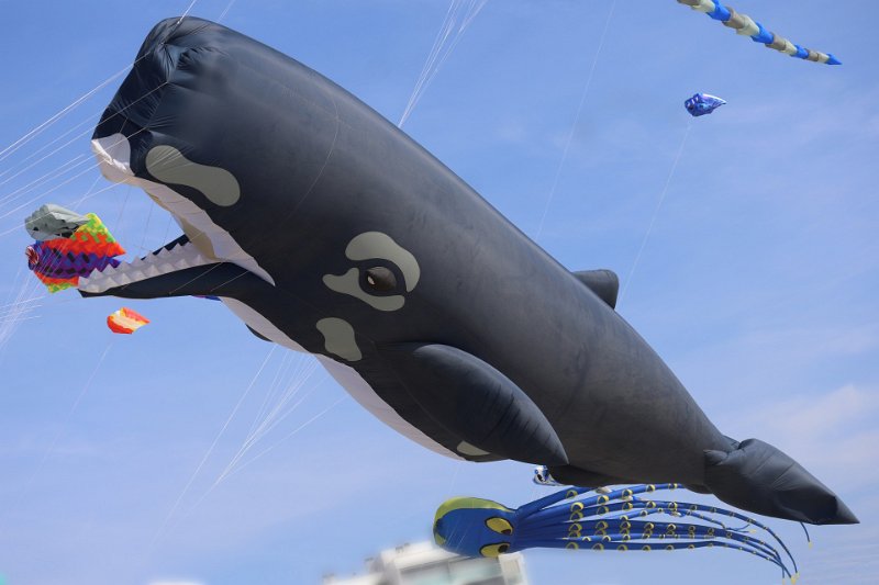 berck_78.jpg