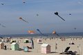 berck_28