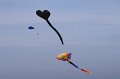 berck_31