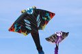berck_53