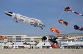 berck_80