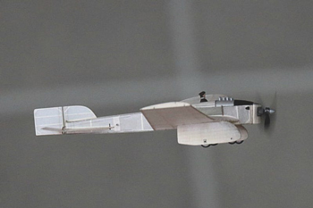 Rare Antoinette Monobloc