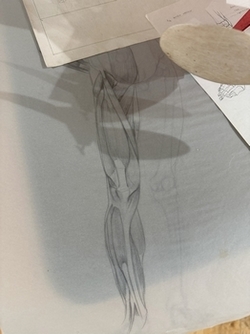 Anatomie par Jacques Delcroix