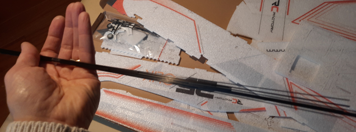 Joncs et plats carbone