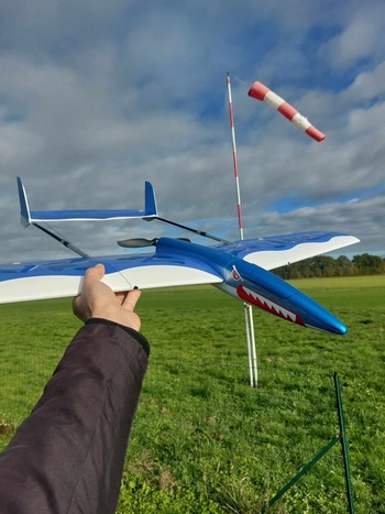 Albedo aux dents longues