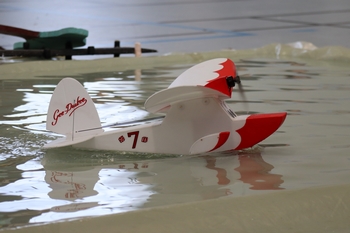 Jupiter Duck &agrave; l'eau