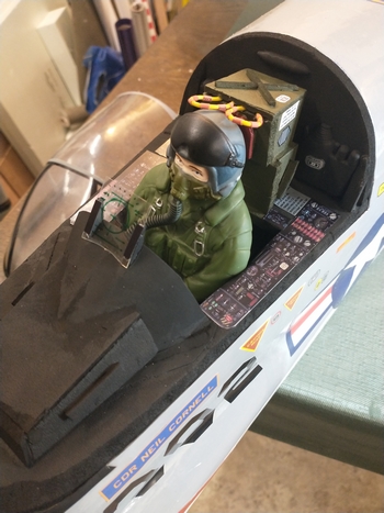 Cockpit et pilote