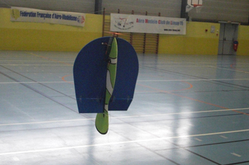 Dr&eacute;nalyn poisson clown