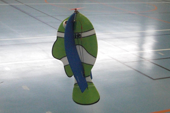 Dr&eacute;nalyn poisson