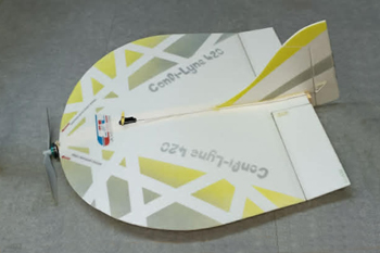 Denalyn de Jean-Louis Coussot