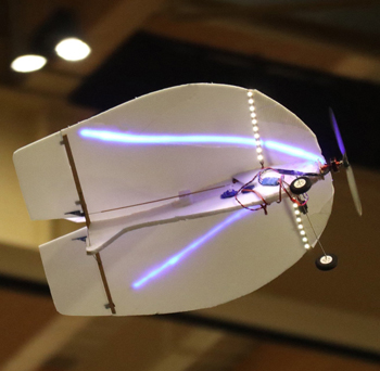 Dr&eacute;nalyn de Michel Malabat