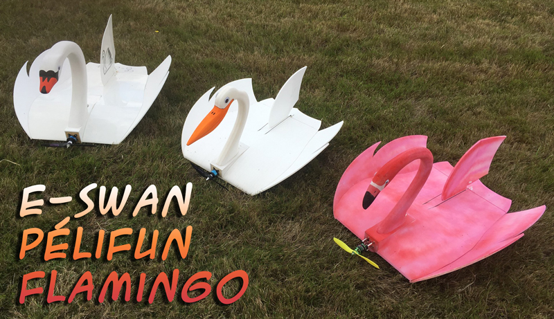 E-Swan, Pélifun et Flamingo