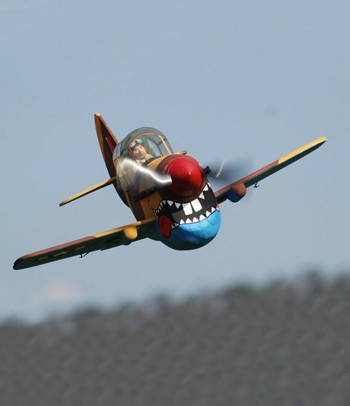 P-40 en vol