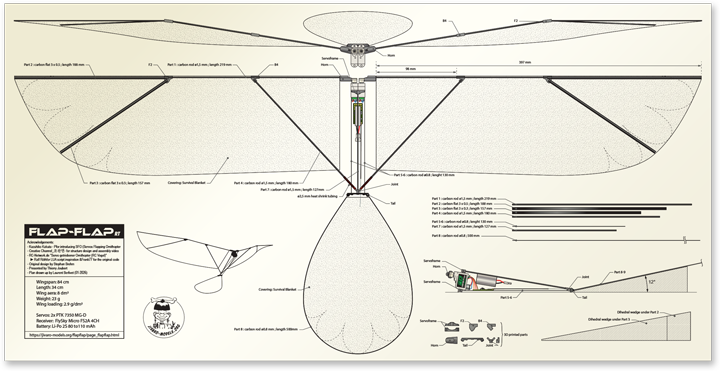 Flap-Flap Round Tail