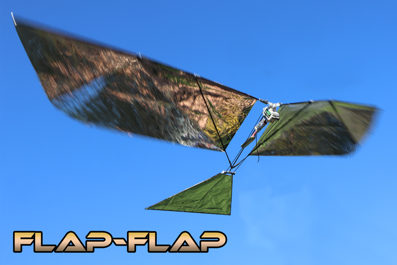 Flap-Flap - Servos, carbone et battements d’ailes