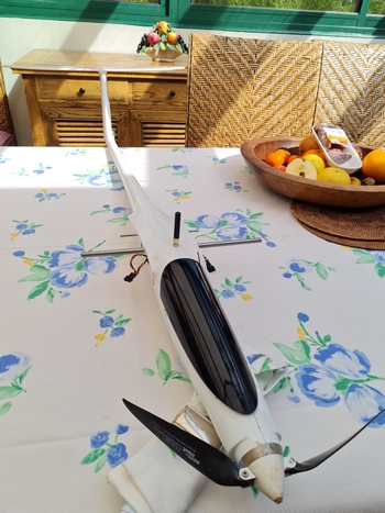 L'antenne passe &agrave; travers le fuselage