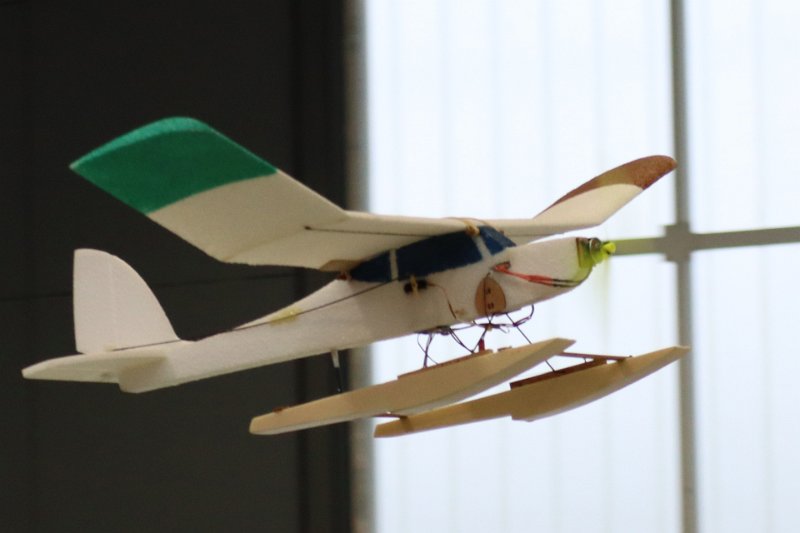 mouettes_015.jpg