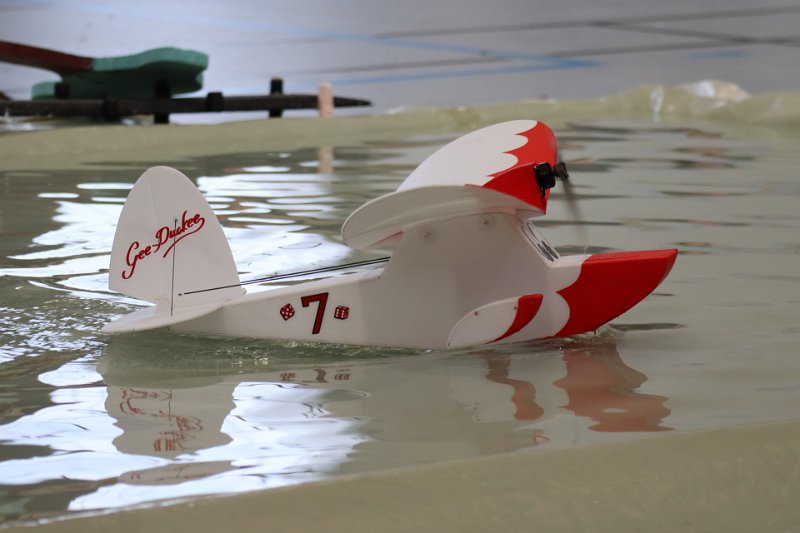 mouettes_047.jpg
