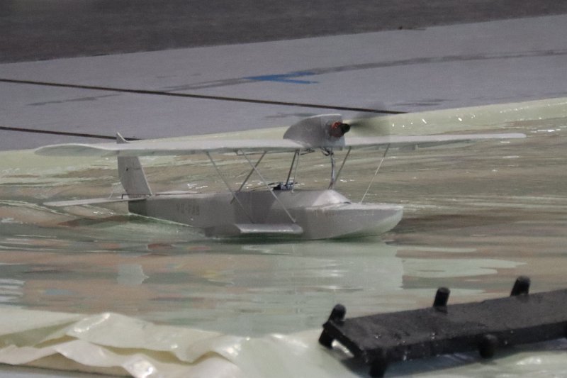 mouettes_094.jpg