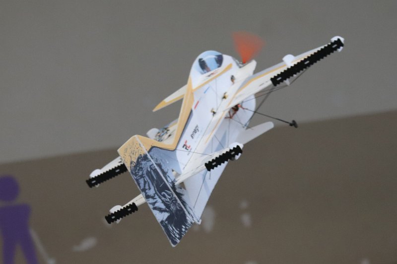 mouettes_131.jpg