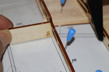 Nervure inclin&eacute;e