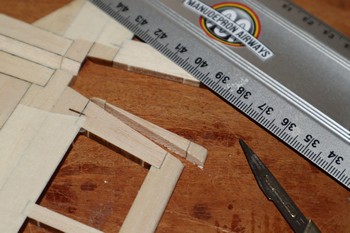 Gouvernes retaill&eacute;es