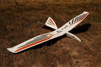 L'Inca, et son plumage