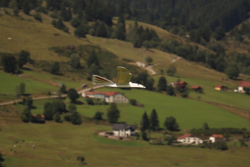 Inca de Silence Model