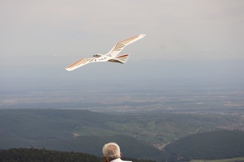 Petit Ballon d'Alsace