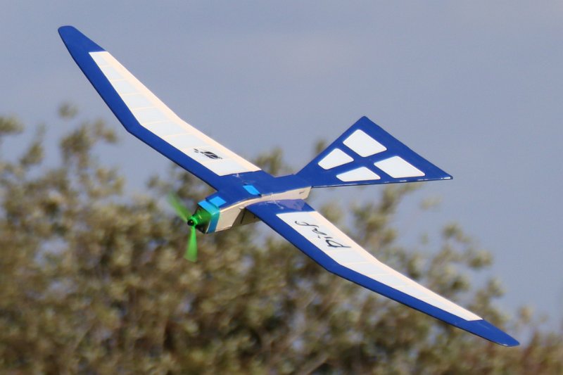lw_1625.JPG
