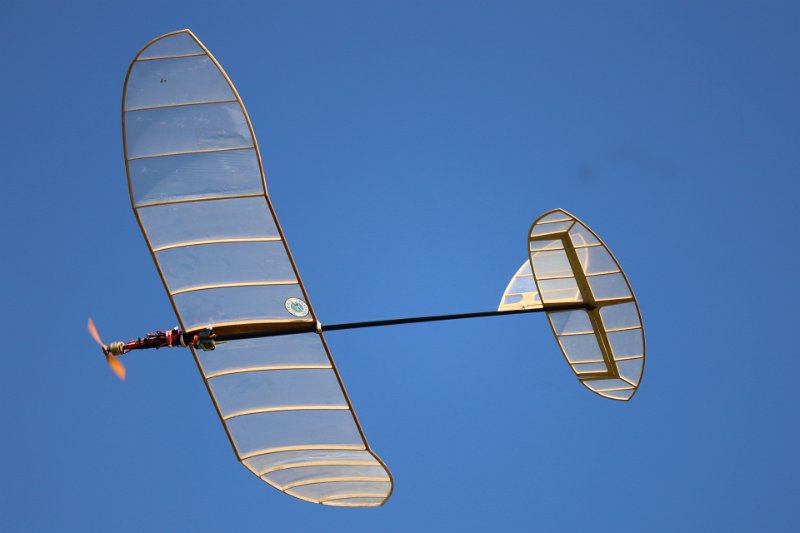lw_1642.JPG