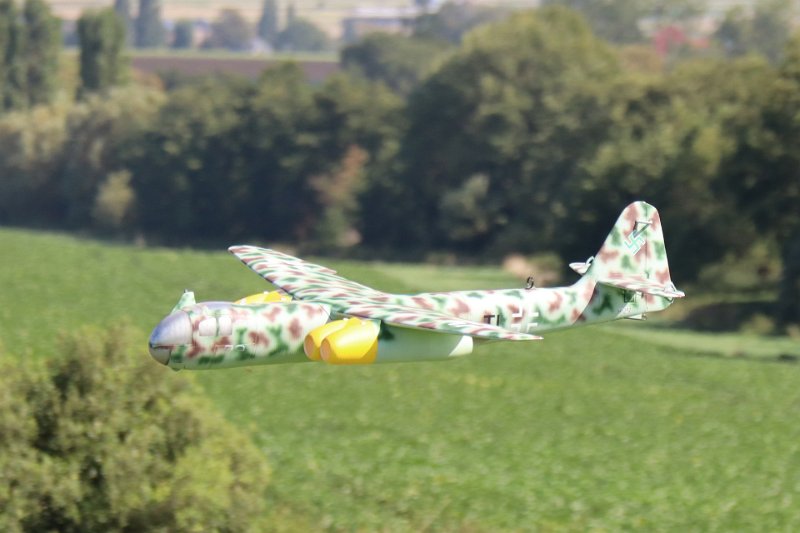 lw_1679.JPG