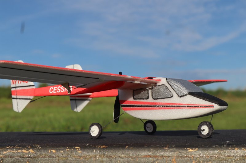 lw_4507.JPG