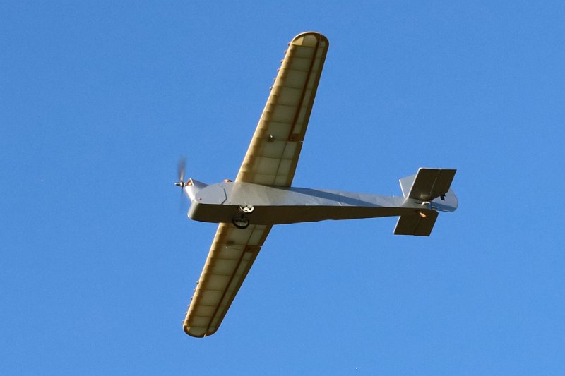 pl_4539.JPG