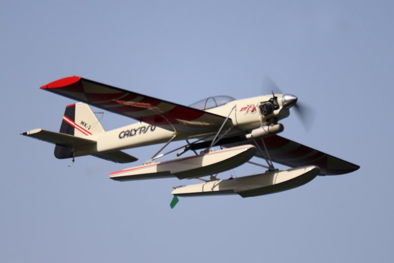 calypso_3.jpg